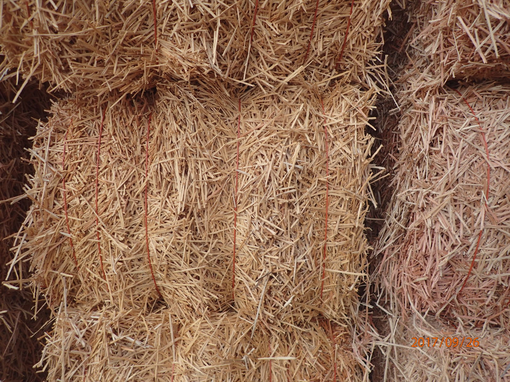 WoodStraw mulch closeup